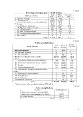 Ekonomikos taktinio planavimo darbas 14 puslapis