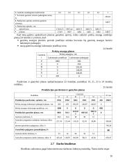 Ekonomikos taktinio planavimo darbas 18 puslapis