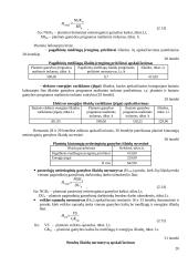 Ekonomikos taktinio planavimo darbas 20 puslapis