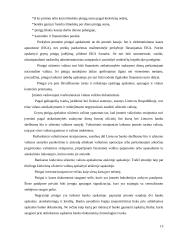 Trumpalaikio turto apskaita ir informacijos apie ją panaudojimas veiklos procesui valdyti „Sanistal“ įmonėje 11 puslapis