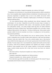 Trumpalaikio turto apskaita ir informacijos apie ją panaudojimas veiklos procesui valdyti „Sanistal“ įmonėje 3 puslapis