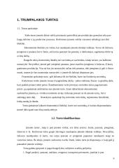 Trumpalaikio turto apskaita ir informacijos apie ją panaudojimas veiklos procesui valdyti „Sanistal“ įmonėje 4 puslapis