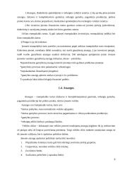 Trumpalaikio turto apskaita ir informacijos apie ją panaudojimas veiklos procesui valdyti „Sanistal“ įmonėje 6 puslapis