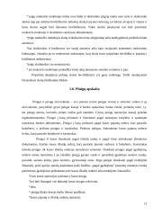 Trumpalaikio turto apskaita ir informacijos apie ją panaudojimas veiklos procesui valdyti „Sanistal“ įmonėje 10 puslapis