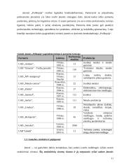 Tarptautinė gamyba. Tarptautinės gamybos strategija metalo apdirbimo įmonei "Polikopija" 11 puslapis