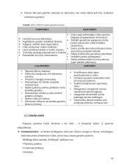 Tarptautinė gamyba. Tarptautinės gamybos strategija metalo apdirbimo įmonei "Polikopija" 16 puslapis