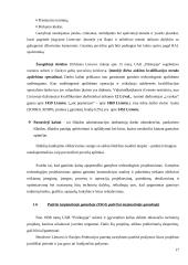 Tarptautinė gamyba. Tarptautinės gamybos strategija metalo apdirbimo įmonei "Polikopija" 17 puslapis