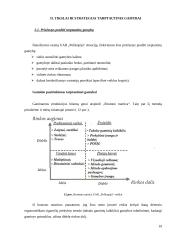 Tarptautinė gamyba. Tarptautinės gamybos strategija metalo apdirbimo įmonei "Polikopija" 19 puslapis