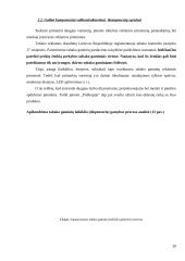 Tarptautinė gamyba. Tarptautinės gamybos strategija metalo apdirbimo įmonei "Polikopija" 20 puslapis