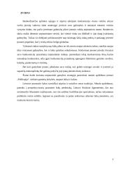 Tarptautinė gamyba. Tarptautinės gamybos strategija metalo apdirbimo įmonei "Polikopija" 3 puslapis