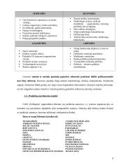 Tarptautinė gamyba. Tarptautinės gamybos strategija metalo apdirbimo įmonei "Polikopija" 9 puslapis