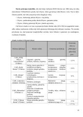 Tarptautinė gamyba. Tarptautinės gamybos strategija metalo apdirbimo įmonei "Polikopija" 10 puslapis