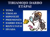 Kuriai veiklai reikia daugiausia energijos? 4 puslapis