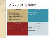 Restorano “Felicie” žvalgybinis tyrimas 16 puslapis