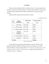 Gėlių pardavimo paslaugos IĮ “Signima”  12 puslapis