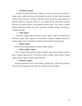 Vagonų klasifikacija ir pagrindiniai tipai 11 puslapis