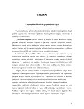 Vagonų klasifikacija ir pagrindiniai tipai 3 puslapis