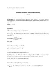 Šiluminio spinduliavimo gaisro metu skaičiavimas 17 puslapis