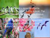 Paukščiai mūsų gyvenime  2 puslapis