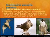 Paukščiai mūsų gyvenime  11 puslapis