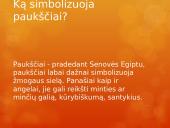 Paukščiai mūsų gyvenime  3 puslapis