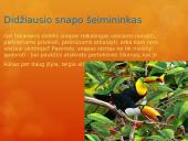 Paukščiai mūsų gyvenime  5 puslapis