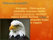 Paukščiai mūsų gyvenime  6 puslapis