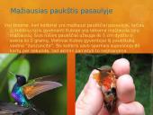 Paukščiai mūsų gyvenime  7 puslapis