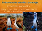 Paukščiai mūsų gyvenime  9 puslapis