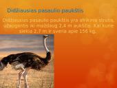 Paukščiai mūsų gyvenime  10 puslapis