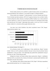 Rinkodaros tyrimas UAB “Drogas” 5 puslapis