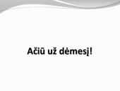 Pagonybė Lietuvoje skaidrės 15 puslapis