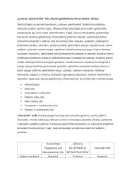 Organizacijų valdymo struktūrų tipų analizė  14 puslapis