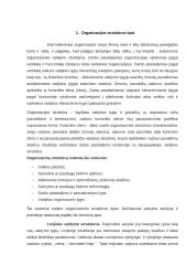Organizacijų valdymo struktūrų tipų analizė  4 puslapis