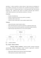 Organizacijų valdymo struktūrų tipų analizė  5 puslapis