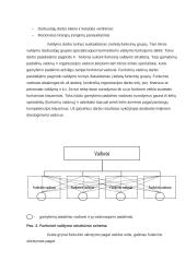 Organizacijų valdymo struktūrų tipų analizė  6 puslapis