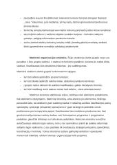 Organizacijų valdymo struktūrų tipų analizė  8 puslapis