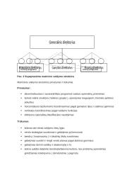 Organizacijų valdymo struktūrų tipų analizė  9 puslapis