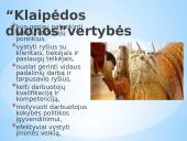 UAB ”Klaipėdos duona” įmonės pristatymas 3 puslapis