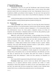 Kompiuteriniai virusai antivirusinės programos 8 puslapis