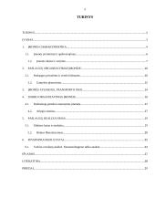 AB „Lesto“ ekonominės veiklos analizė 2 puslapis