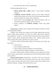 AB „Lesto“ ekonominės veiklos analizė 11 puslapis