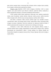 AB „Lesto“ ekonominės veiklos analizė 13 puslapis