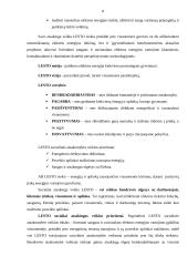 AB „Lesto“ ekonominės veiklos analizė 8 puslapis