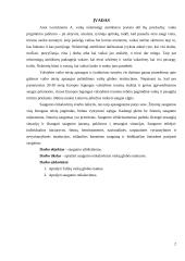 Saugumo reikalavimai 2 puslapis