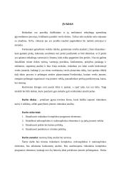 X įmonės rinkodaros analizė 3 puslapis