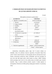 X įmonės rinkodaros analizė 7 puslapis