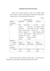 X įmonės rinkodaros analizė 10 puslapis