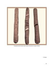 Pinigų istorija LDK 20 puslapis