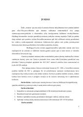 Pinigų istorija LDK 3 puslapis